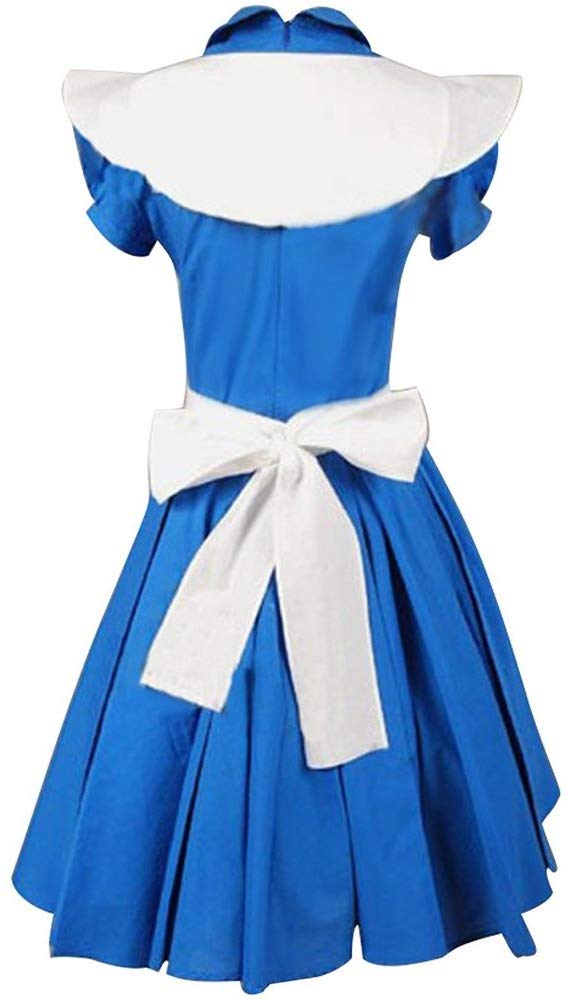 Alice In Wonderland Cosplay Costume back view