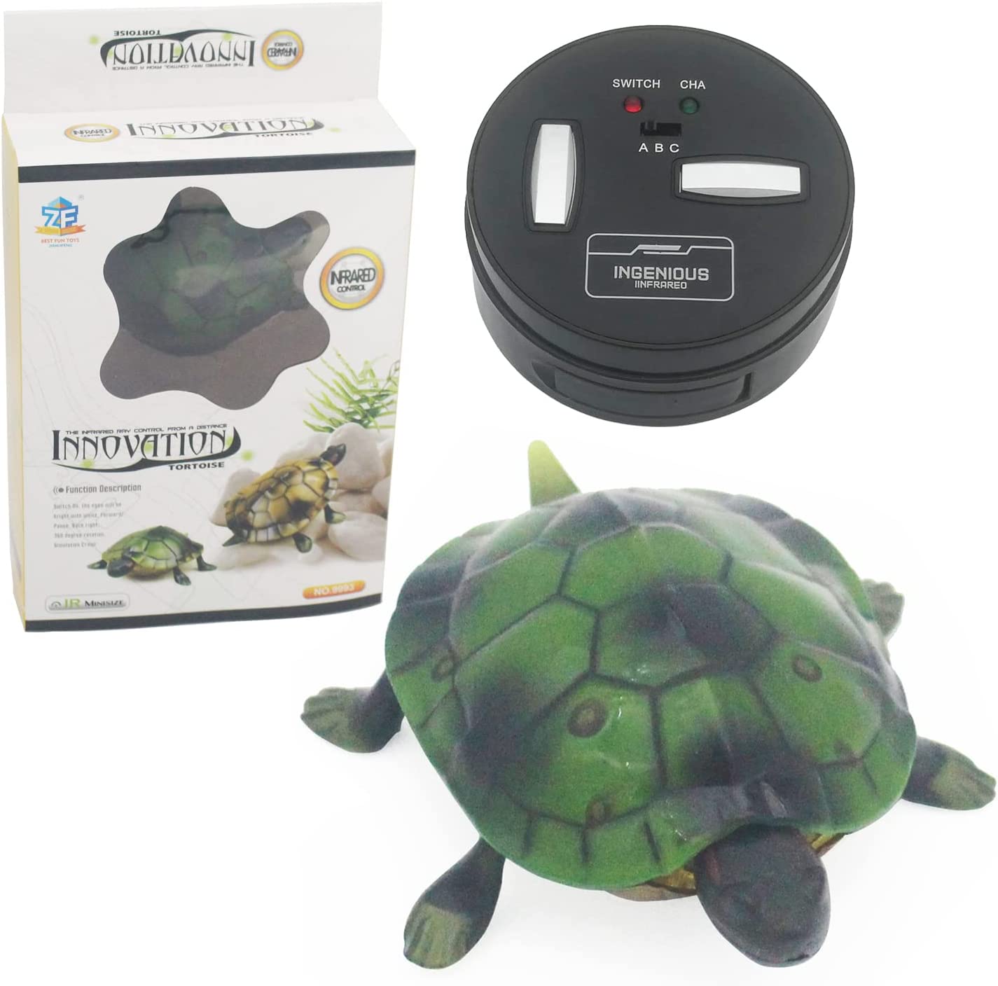 Remote Control Turtle 